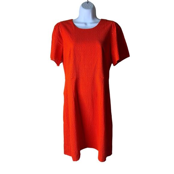 J Crew Eyelet Lace Sheath Dress 12 Short Sleeve Back Zip A-Line Casual Summer - Picture 1 of 8